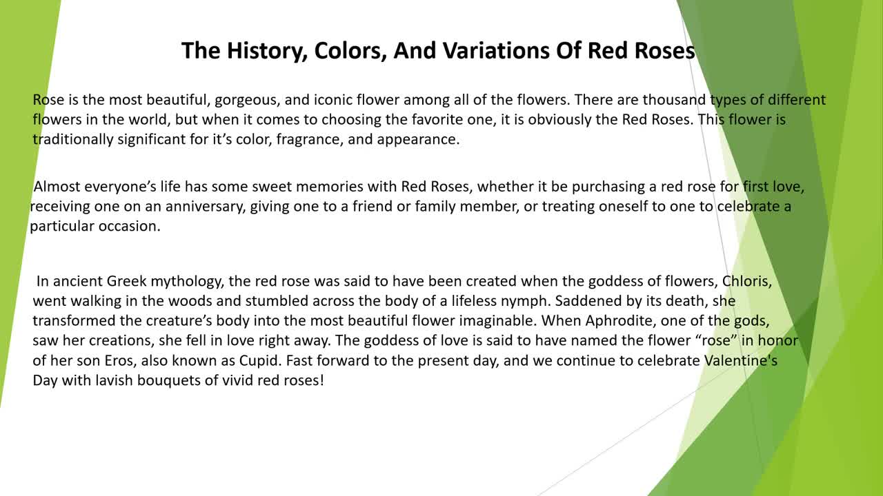 The History, Colors, And Variations Of Red Roses