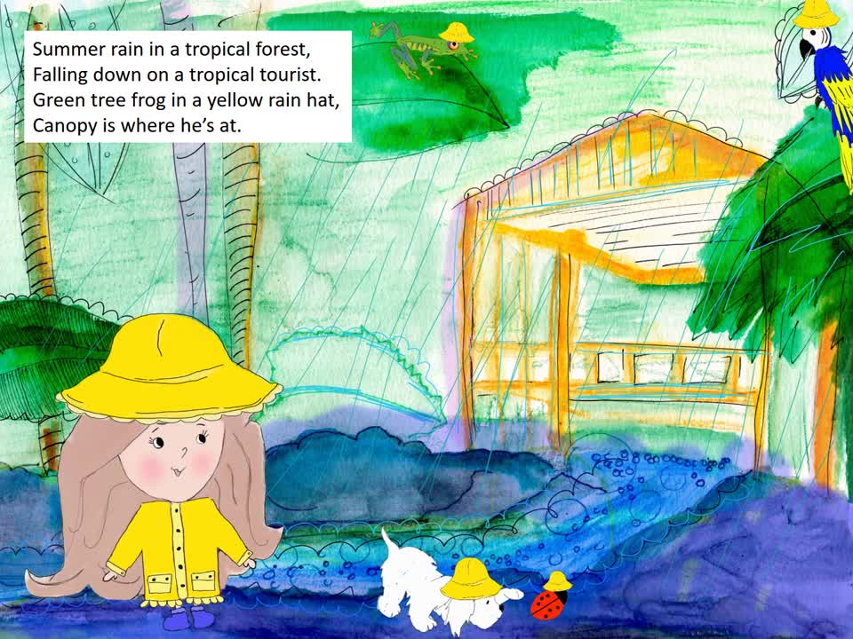 SUMMER RAIN IN A TROPICAL FOREST Song Book Video